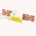 CHRISTMAS CRACKER SPLODGE CARD
