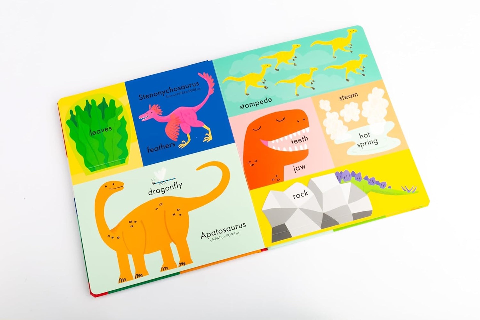 100 FIRST WORDS - DINOSAURS BOOK (2-5 YEARS)