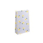 MEDIUM GIFT BAG BLOCK BOTTOM