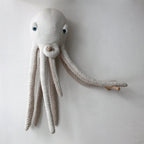 ALBINO OCTOPUS