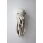 ALBINO OCTOPUS