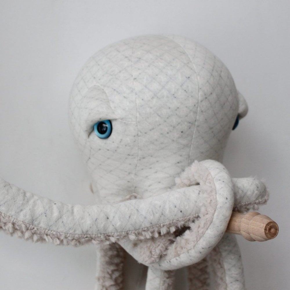 ALBINO OCTOPUS