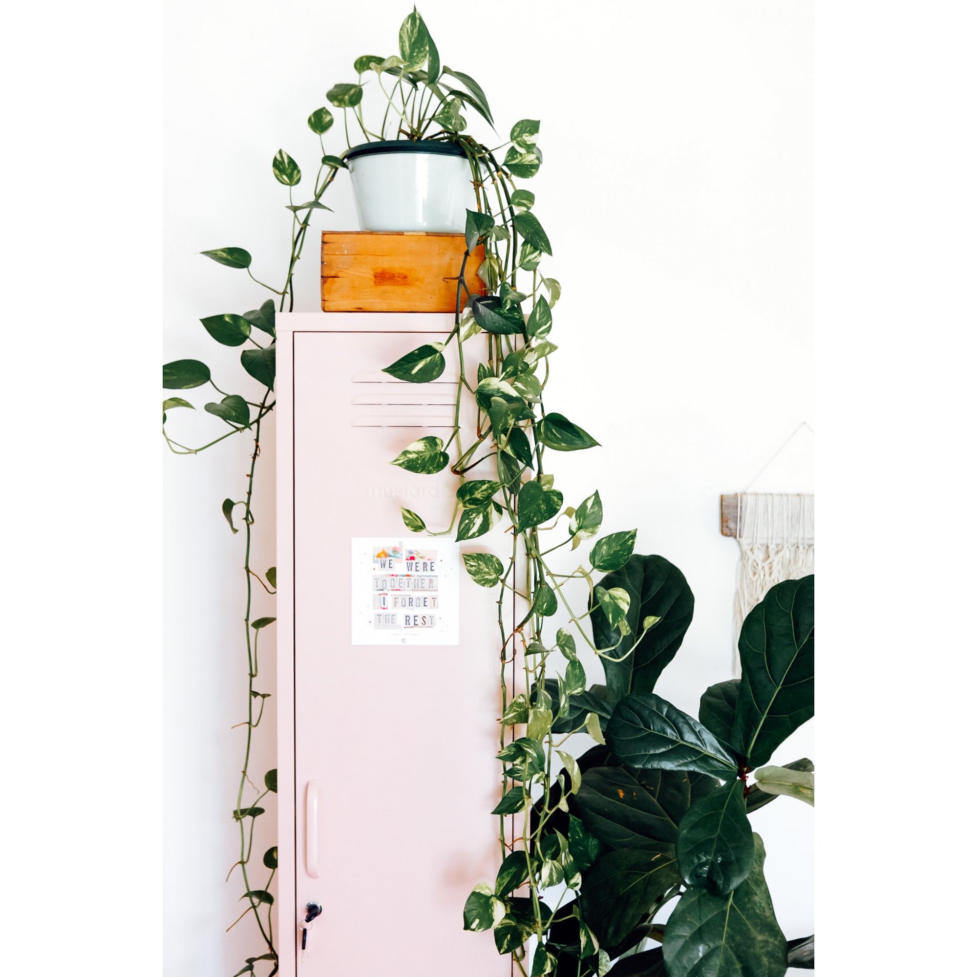 THE SKINNY LOCKER