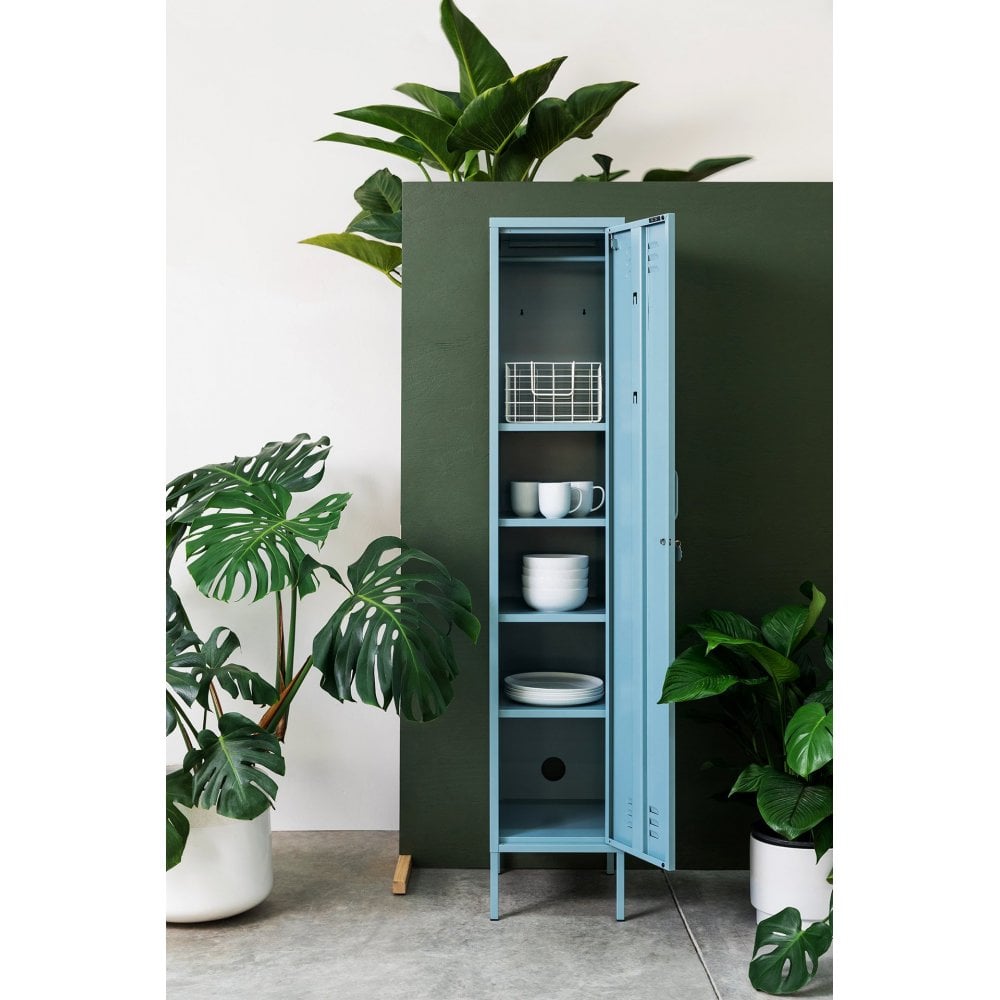 THE SKINNY LOCKER