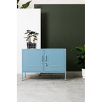 THE LOWDOWN LOCKER