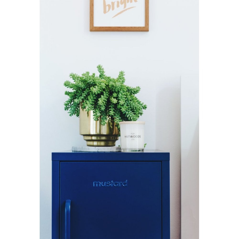 THE SHORTY LOCKER