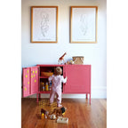 THE LOWDOWN LOCKER