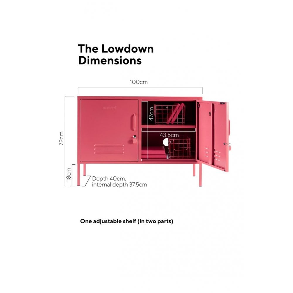 THE LOWDOWN LOCKER