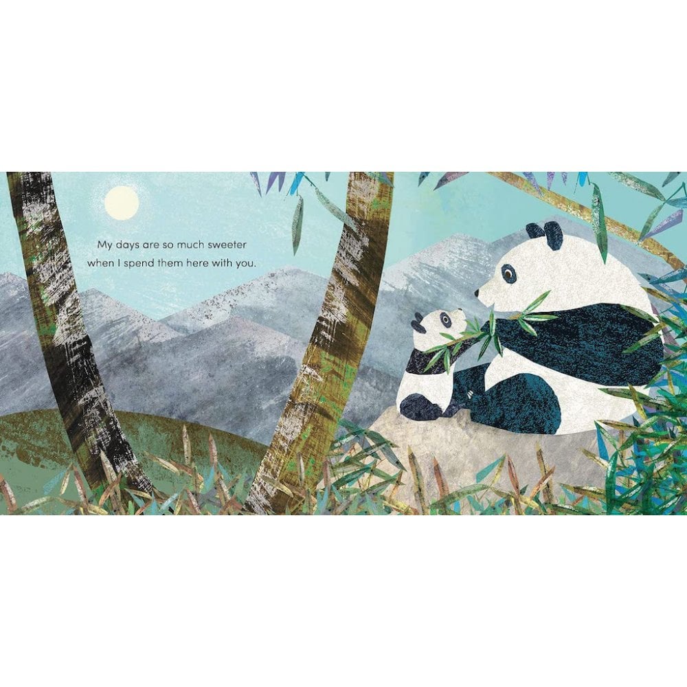 WHEN I BECAME YOUR GRANNY BOOK (AGES 2-5)