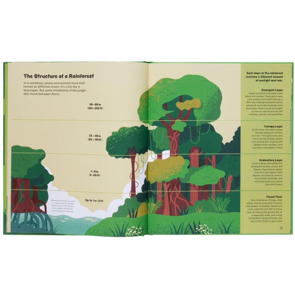 EXPLORE THE RAINFOREST (AGES 7+)