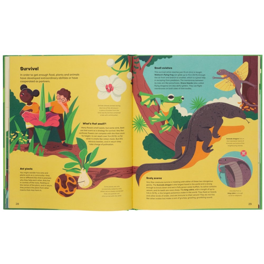 EXPLORE THE RAINFOREST (AGES 7+)