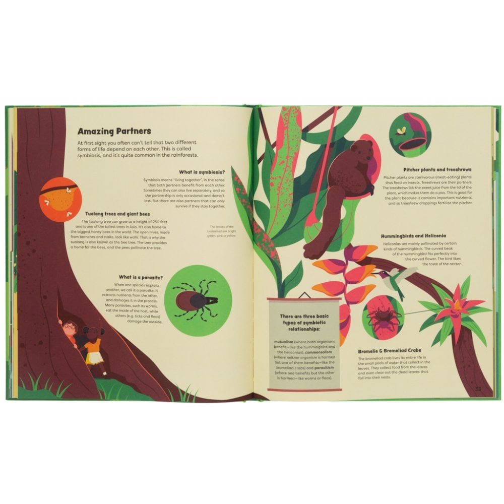 EXPLORE THE RAINFOREST (AGES 7+)