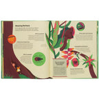 EXPLORE THE RAINFOREST (AGES 7+)