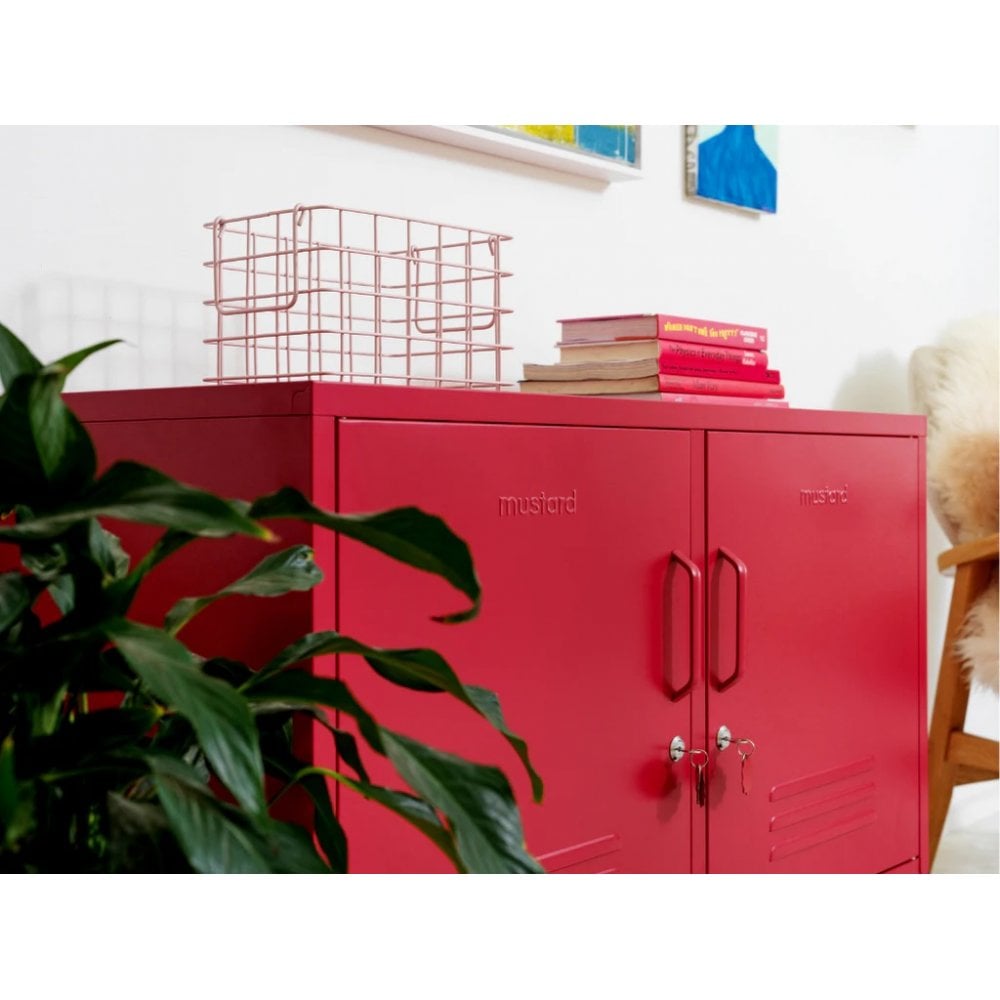 THE LOWDOWN LOCKER
