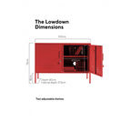 THE LOWDOWN LOCKER