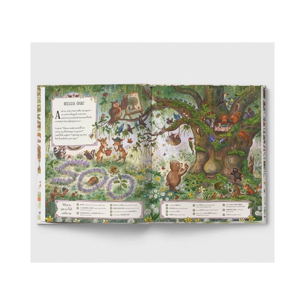 GRAND OLD OAK AND THE BIRTHDAY BALL BOOK (4-6 YEARS)