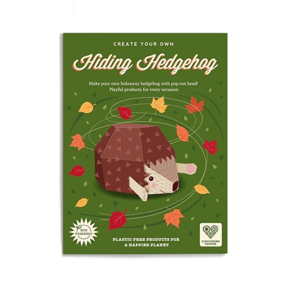 CREATE YOUR OWN HIDING HEDGEHOG (5 YEARS+)
