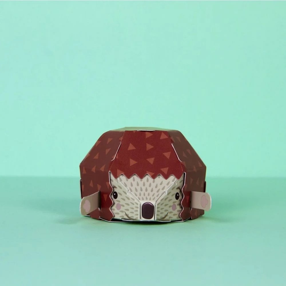 CREATE YOUR OWN HIDING HEDGEHOG (5 YEARS+)