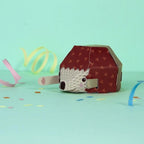 CREATE YOUR OWN HIDING HEDGEHOG (5 YEARS+)