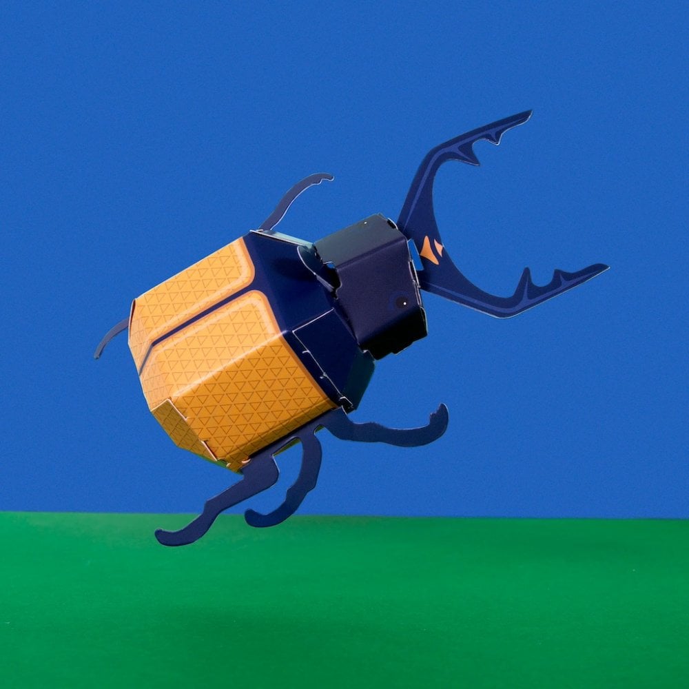 CREATE YOUR OWN SUPER STAG BEETLE (5 YEARS+)