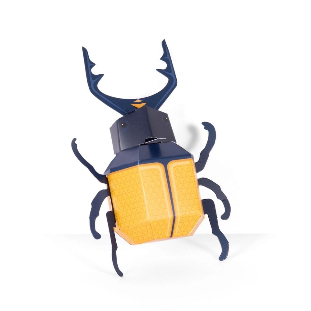 CREATE YOUR OWN SUPER STAG BEETLE (5 YEARS+)