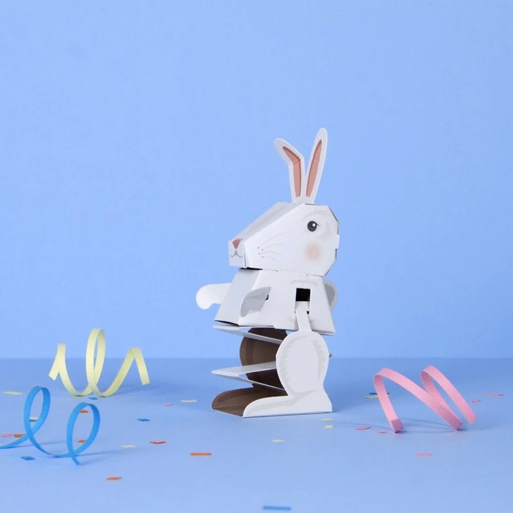 CREATE YOUR OWN BOUNCING BUNNY (5 YEARS+)
