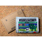 CRINKLY BOOK NEWSPAPER
