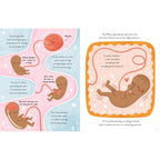 5 MINUTE HUMAN BODY STORIES (5 YEARS+)