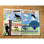 CRINKLY BOOK NEWSPAPER