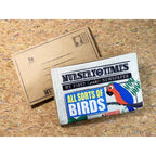 CRINKLY BOOK NEWSPAPER