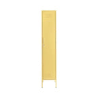 THE SKINNY LOCKER