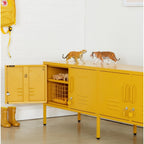 THE STANDARD LOCKER