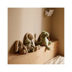 BERTO RABBIT TEDDY