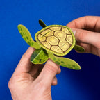 CREATE YOUR OWN TINY TURTLE (5 YEARS+)