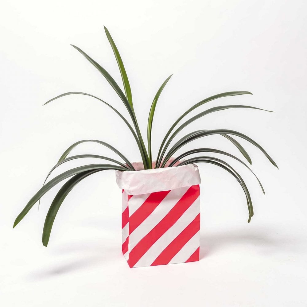 MEDIUM PAPER STORAGE BAGS - PINK STRIPE
