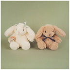 EASTER BUNNY EGG