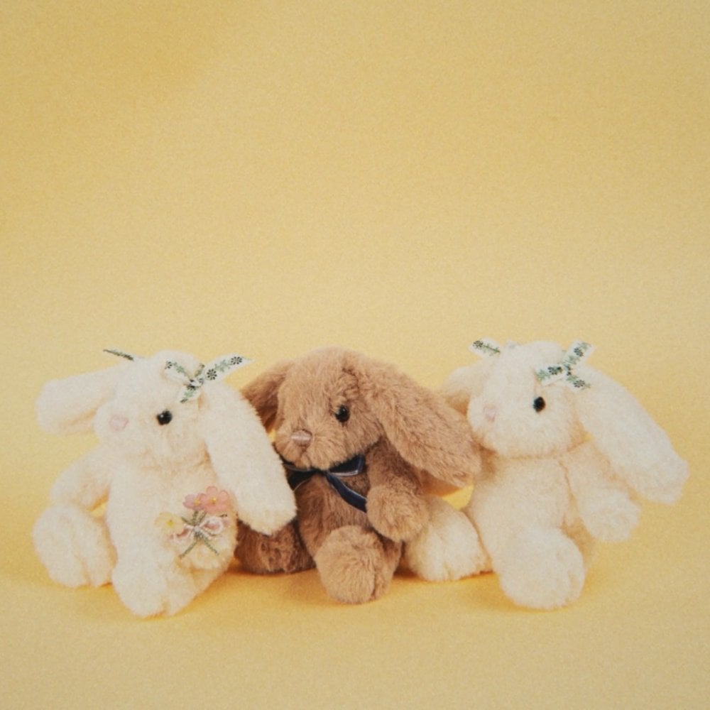 EASTER BUNNY EGG
