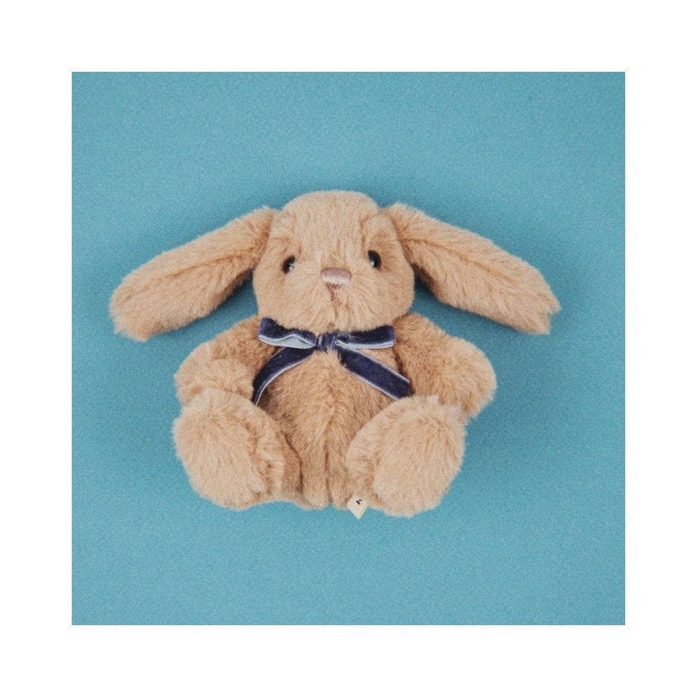 EASTER BUNNY EGG