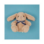 EASTER BUNNY EGG