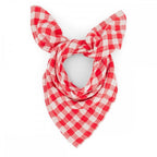 BIANCA SWADDLE - VICHY TOMATO
