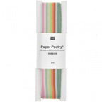 RIBBON - MULTICOLOUR STRIPE