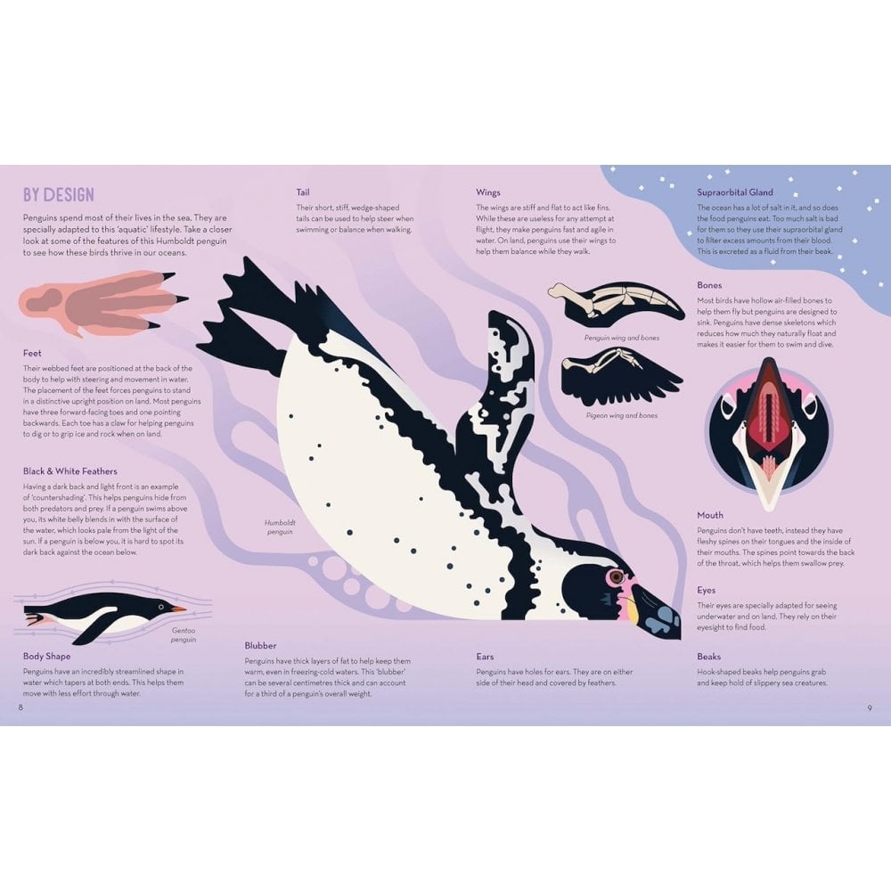 PASSIONATE ABOUT PENGUINS BOOK (7-11 YEARS)