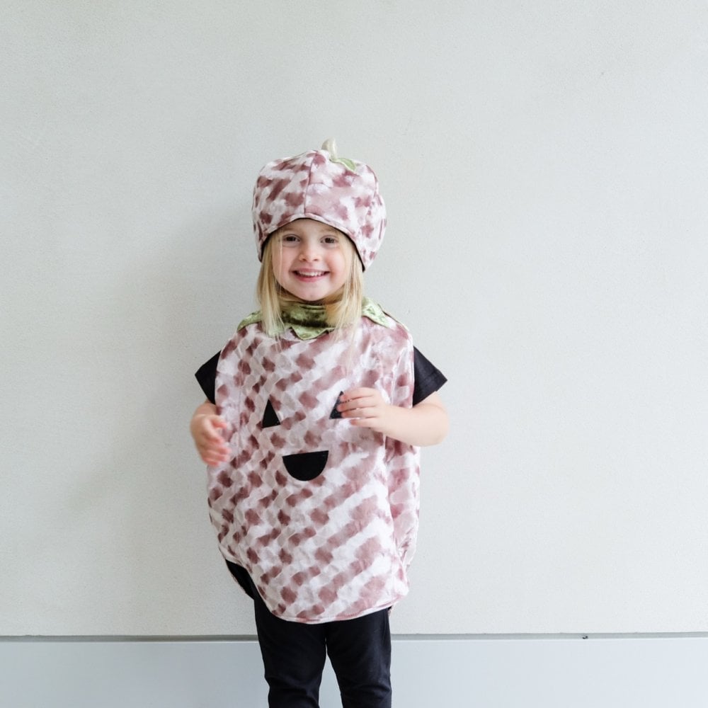 PUMPKIN DRESS UP SET