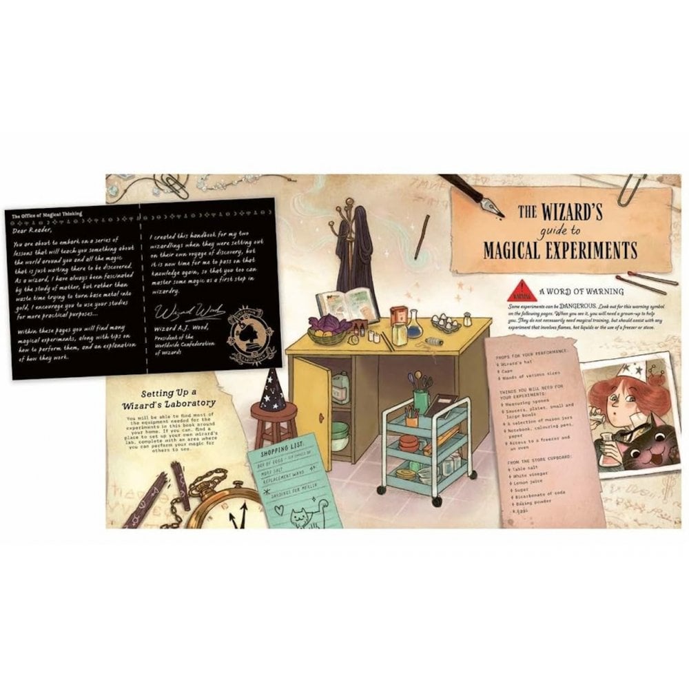 THE WIZARDS GUIDE TO MAGICAL EXPERIMENTS BOOK