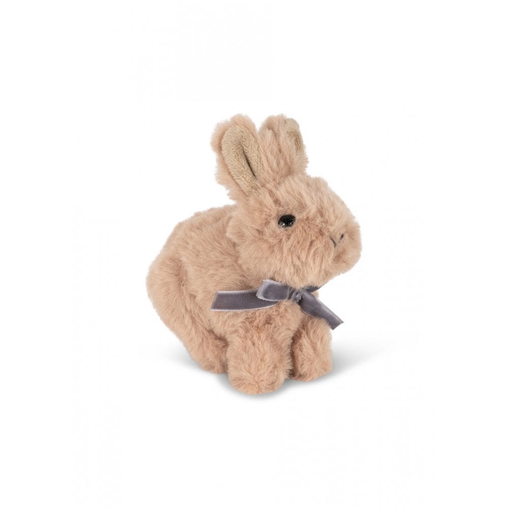 BABY ANIMAL