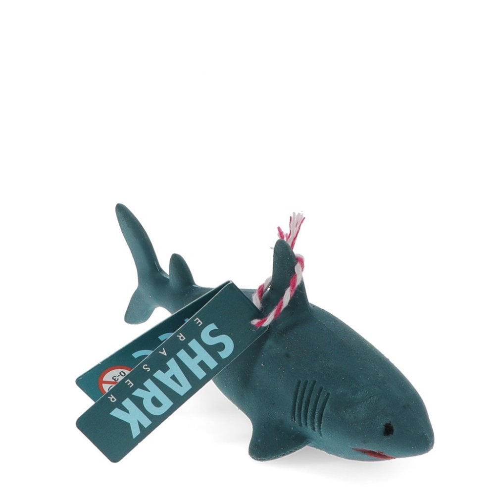 SHARK ERASER