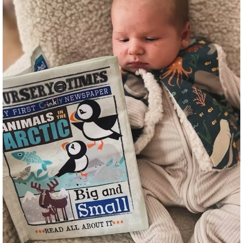 CRINKLY BOOK - ARCTIC ANIMALS