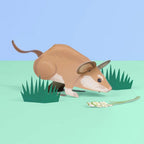 CREATE YOUR OWN DORMOUSE (5 YEARS+)