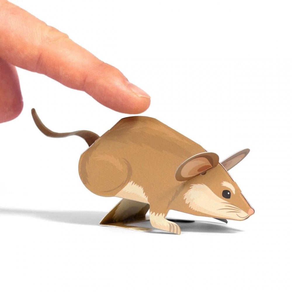 CREATE YOUR OWN DORMOUSE (5 YEARS+)