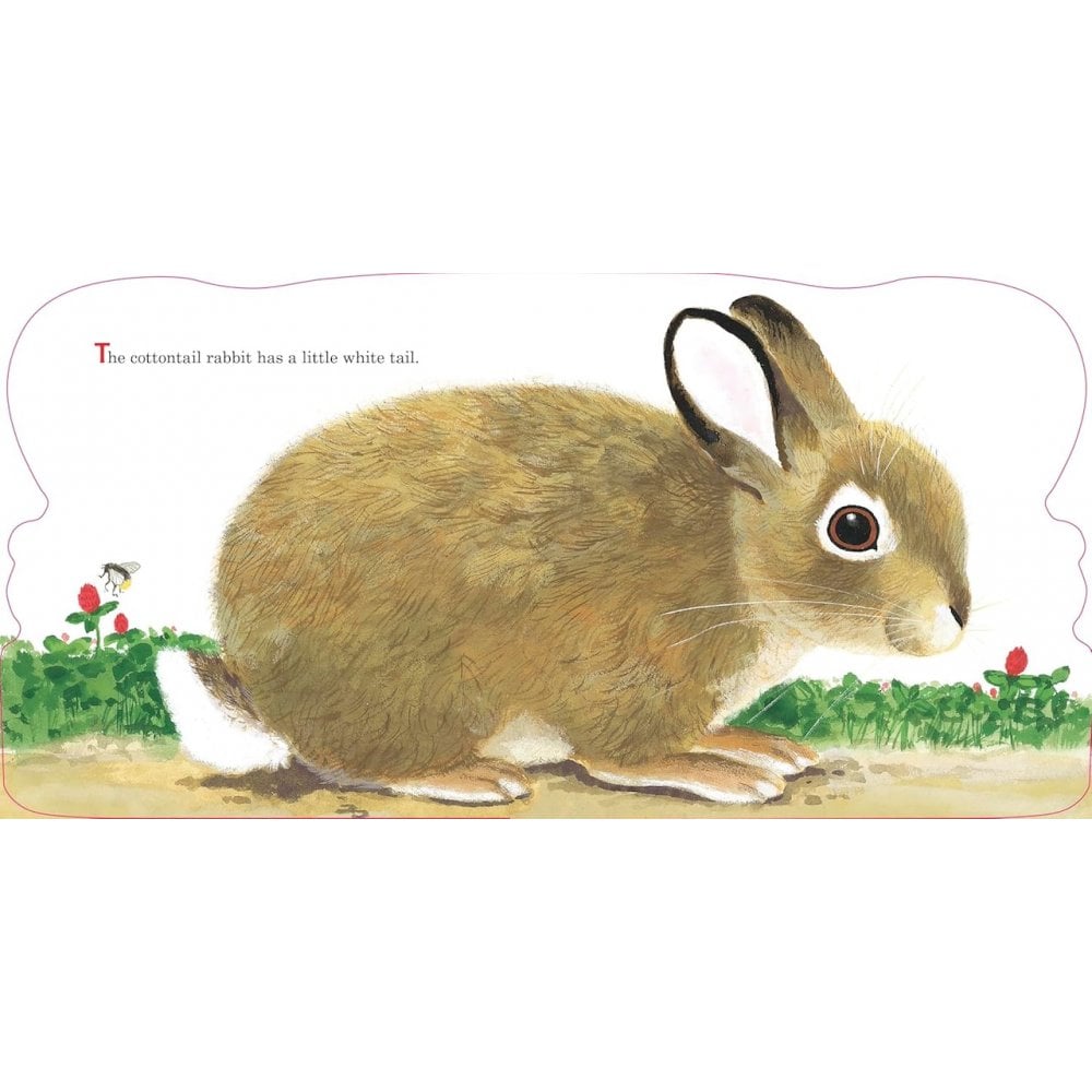 RICHARD SCARRYS BUNNIES BOARD BOOK